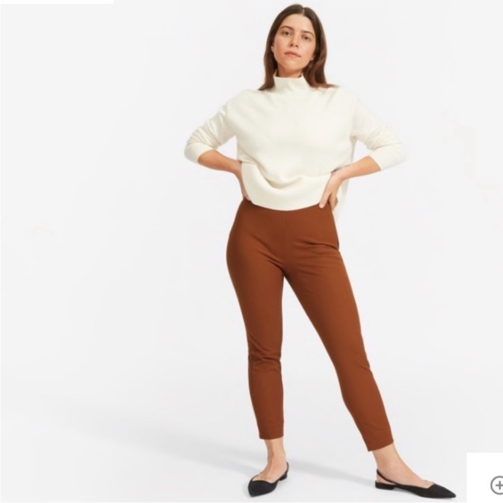 Everlane The Side Zip Pant